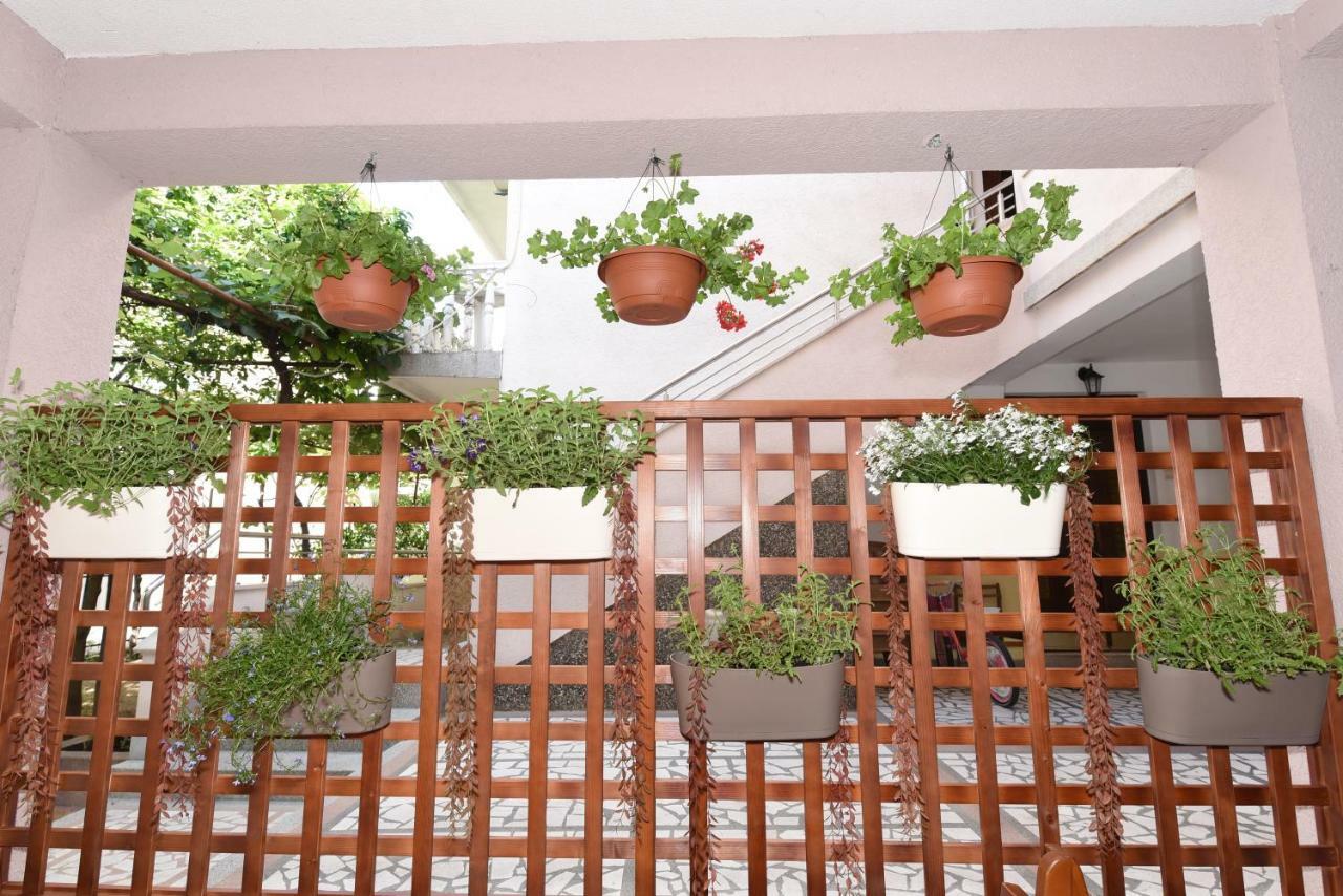 Guest House Zec Budva Bagian luar foto