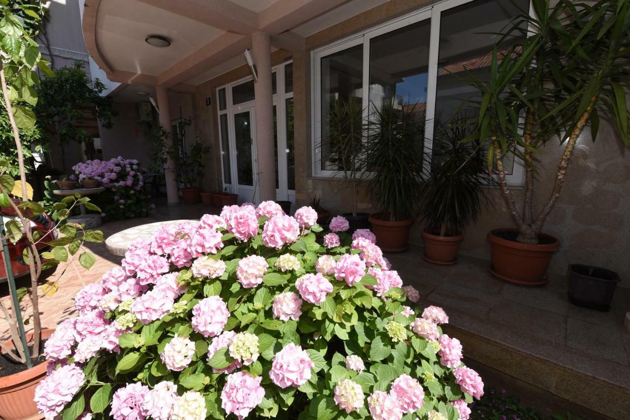 Guest House Zec Budva Bagian luar foto